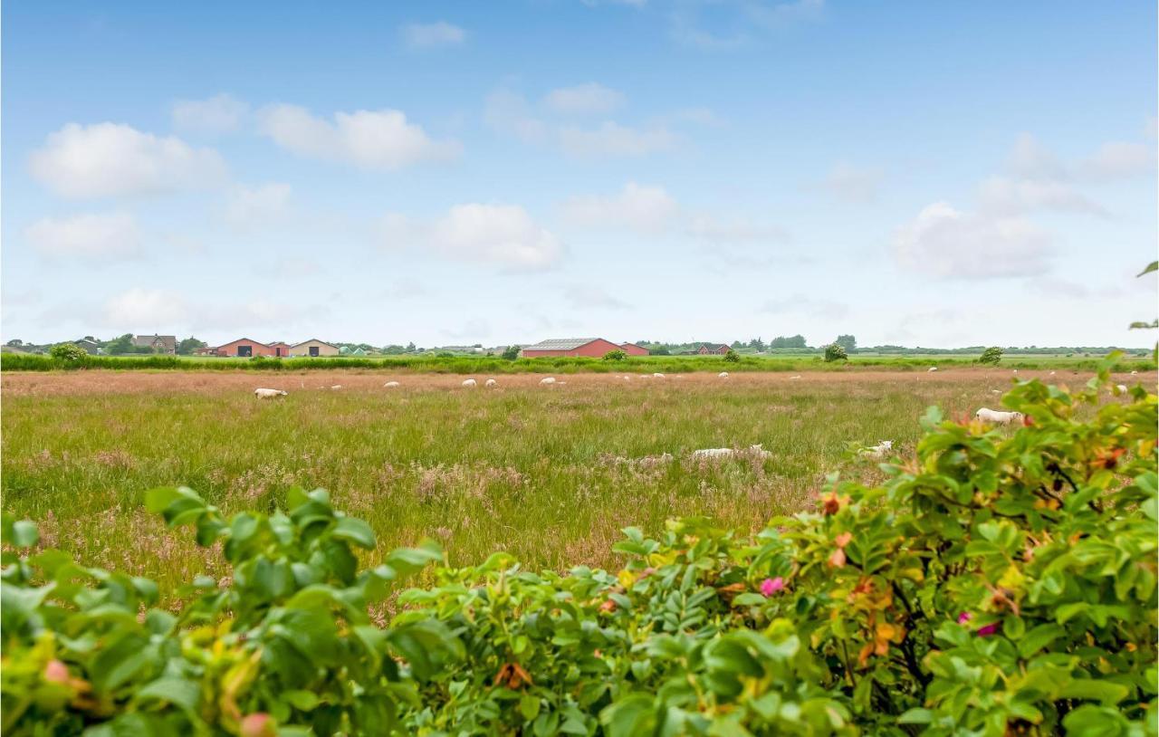 Stunning Home In Ribe With Wifi Екстер'єр фото